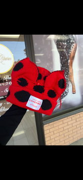 Color Block Ear Beanie