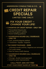 $299 Ultimate credit clean up Sweep