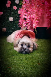 Doppel-S-Reißverschluss