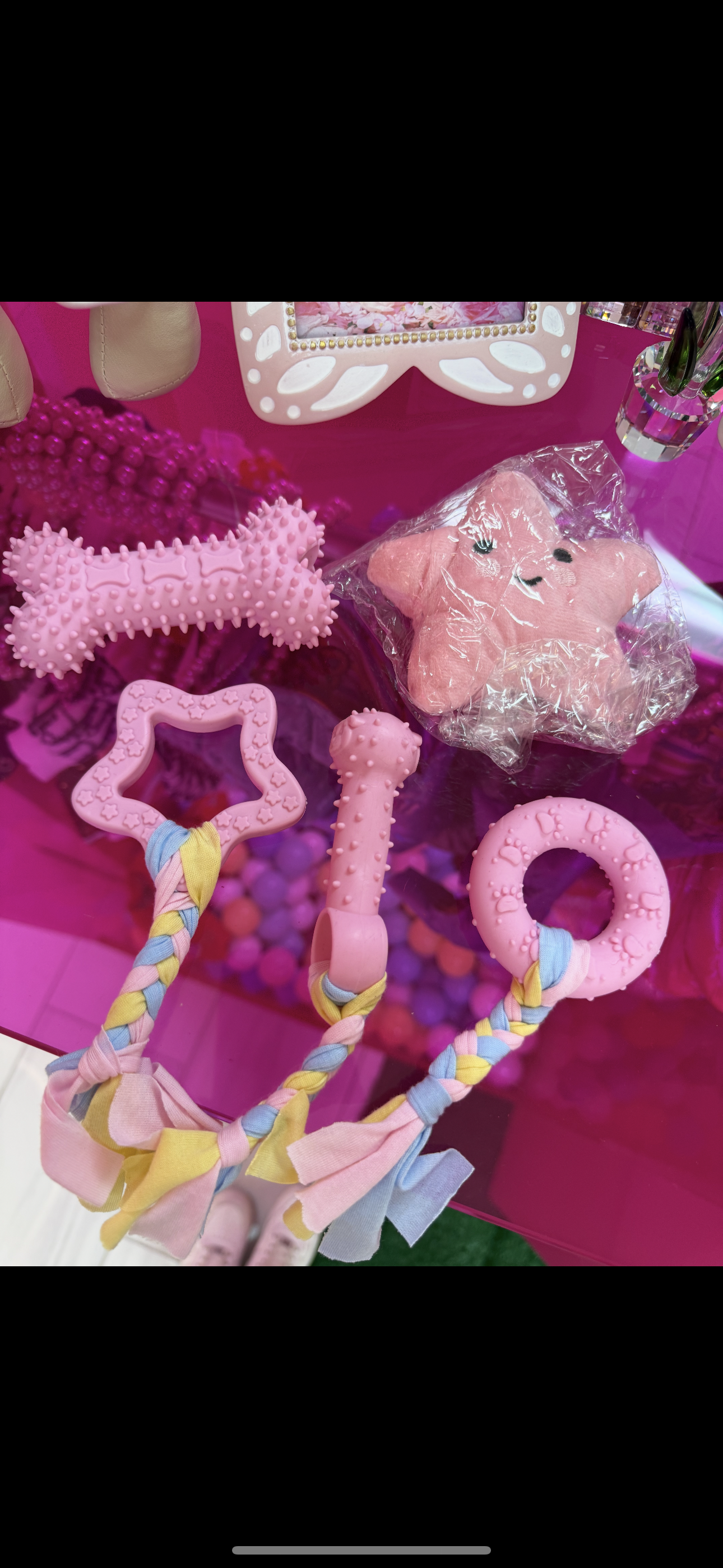 Doggy Five Pc Fur Babe Toy Set