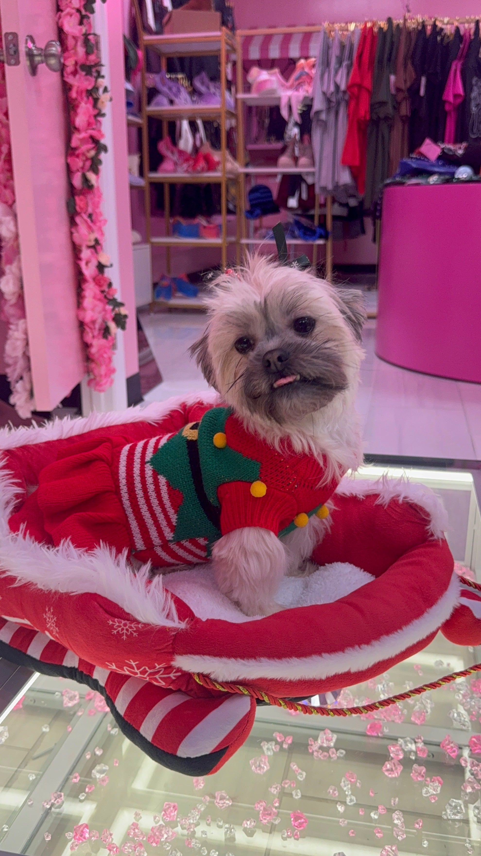 Holiday  Doggy Sweater Xmas