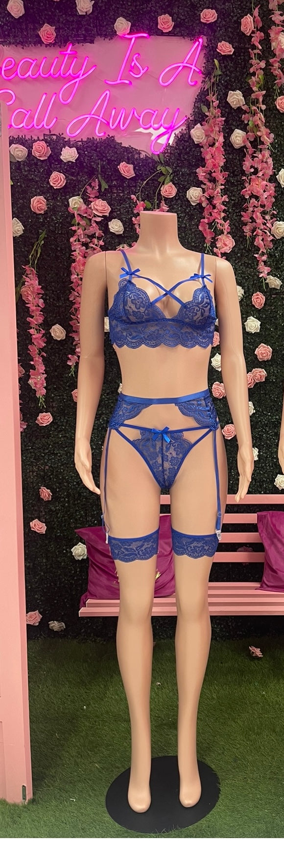 The Sneaky Link 4pc Lingerie Set