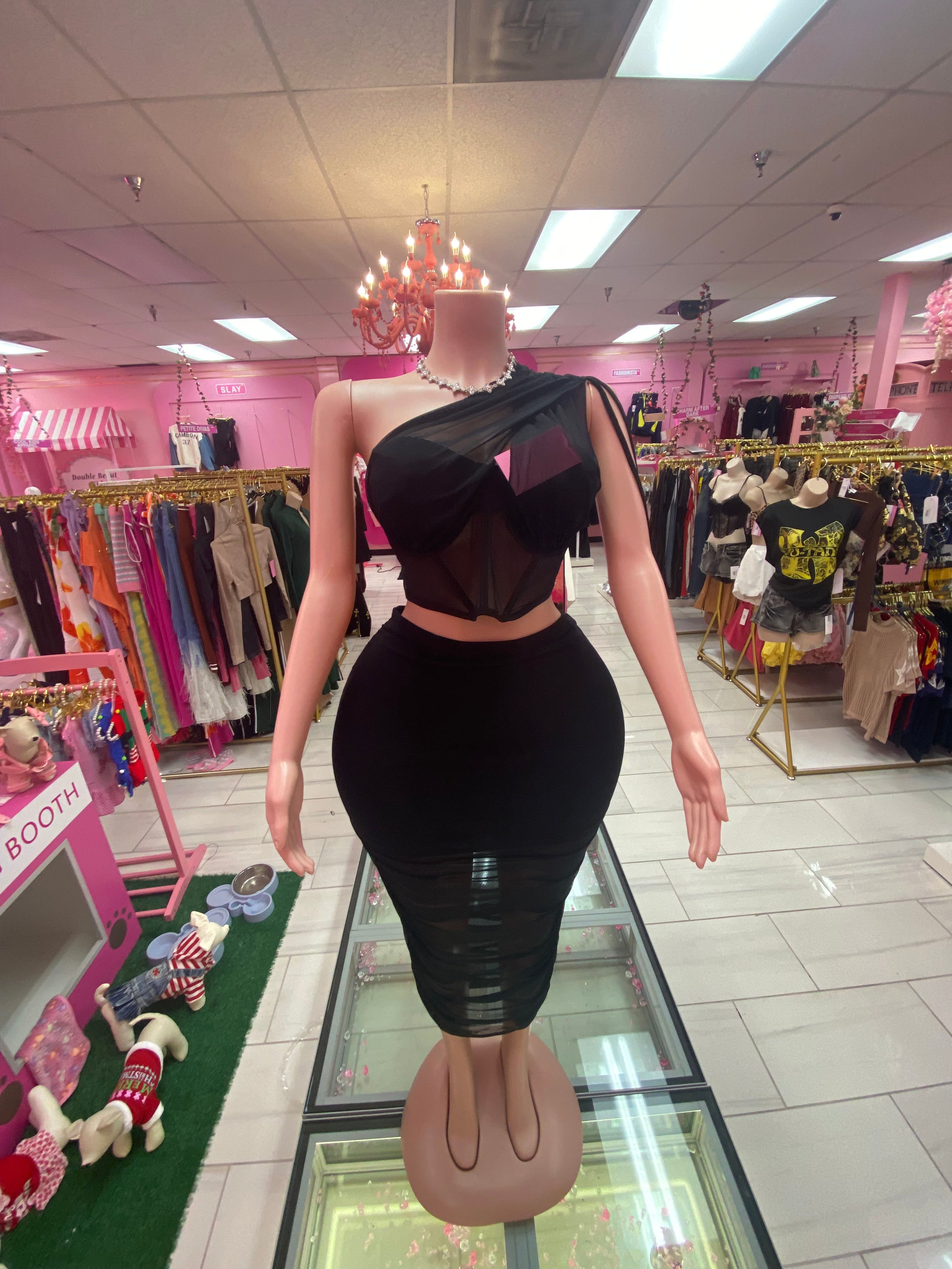 Plus Sheer Corset and Long Skirt Set