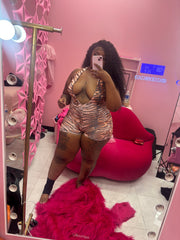 Leopard Back Out