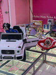 Holiday  Doggy Sweater Xmas