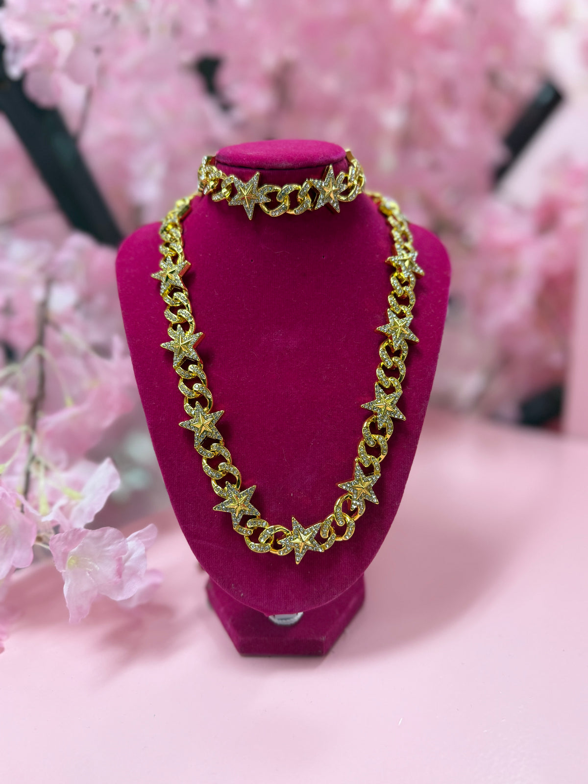 The Star Of the Show Necklace and bracelet set